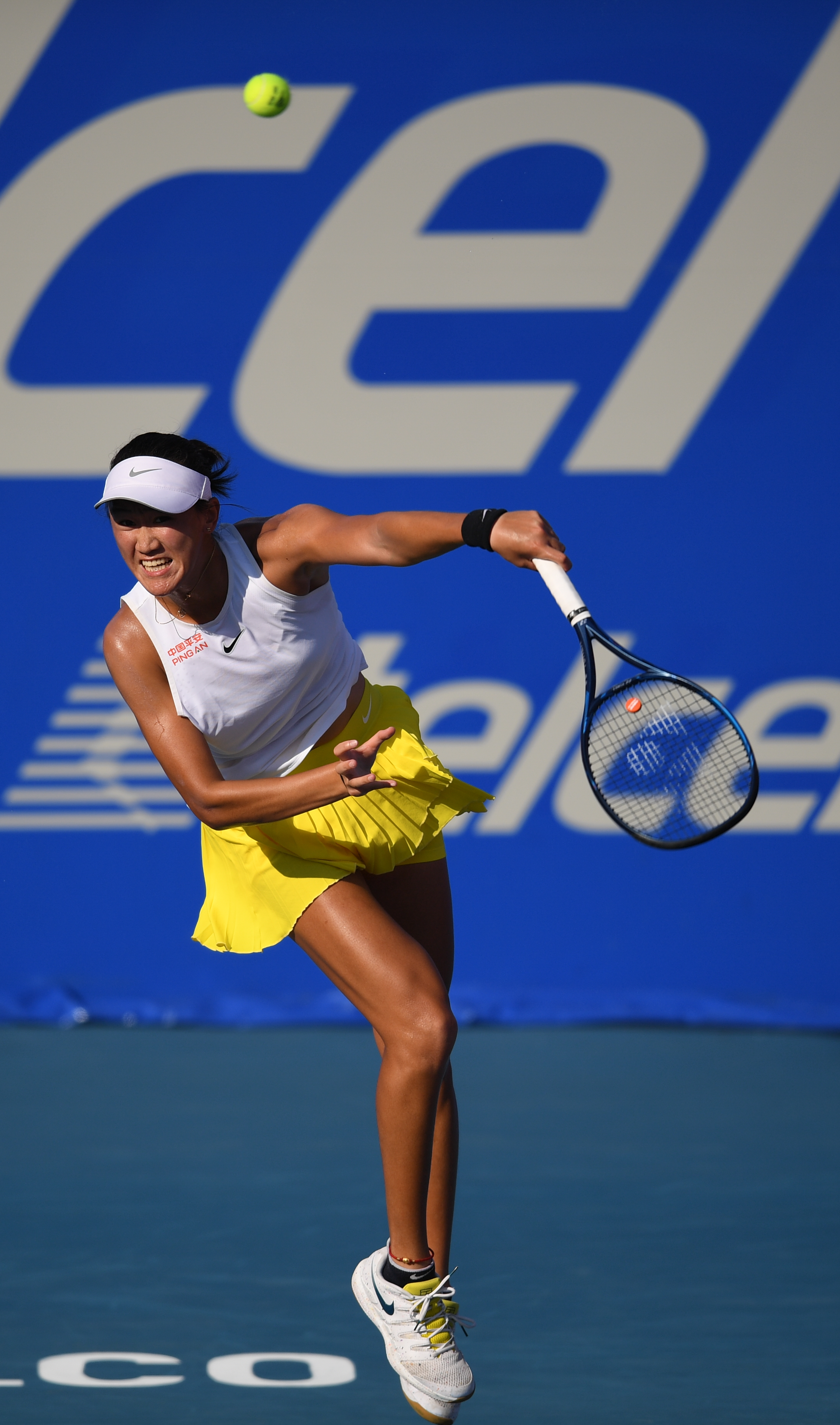 供了稳健的 供了稳健的